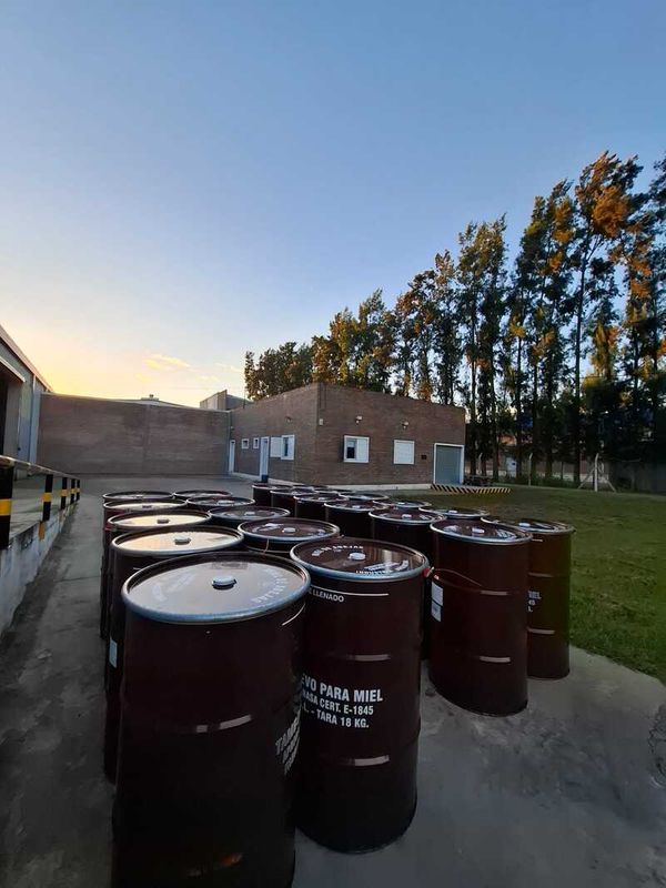 miel santafesina exportadora internacional