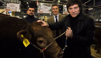 El plan para el campo de Milei: los 15 puntos dentro del programa de gobierno