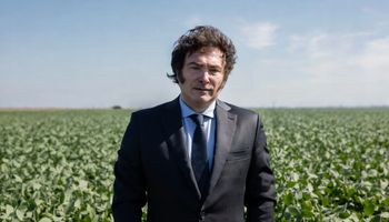 Anuncian una quita "fija" para las retenciones del campo: así es el cronograma oficial para soja, maíz, girasol y sorgo