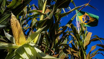 BNDES anuncia pacote de medidas para socorrer o agro