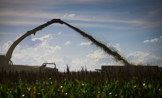 Comercialização lenta da safra de grãos provoca fretes mais baixos, aponta Conab