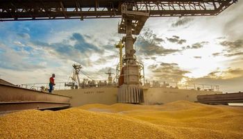  Para comprar milho logo, China ‘libera’ Brasil de protocolos