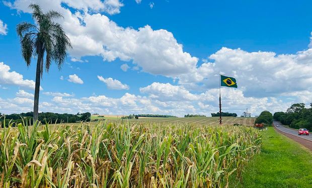 Trabalhos de colheita tiveram início de forma pontual em Mato Grosso, sem chegar a 1% da área