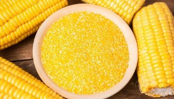 Medida do governo promete reduzir custo de alimentos e incentivar a produção de etanol de milho