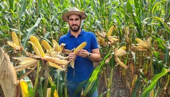 Produtor vence concurso com 248 sacas de milho por hectare