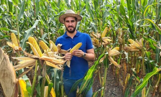 Cristian Dalben conciliou fatores como sementes, manejo de solo, defensivos e agricultura digital para obter o resultado. (foto - arquivo pessoal)