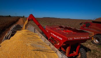 Cotação do milho tem sequência de altas com valorização de 6,68% em junho