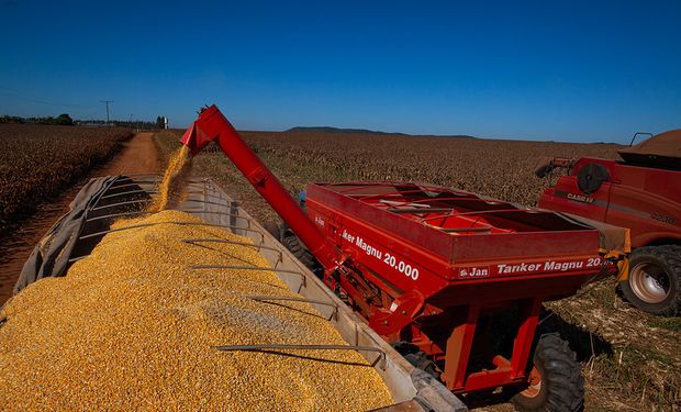 PIB da agropecuária (dentro da porteira) registrou queda de 1,7% em 2022, a primeira desde 2017. (foto - CNA)