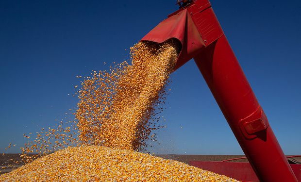 Portaria foi publicada na última sexta-feira (dia 5) pelos ministérios da Agricultura, Desenvolvimento Agrário e Fazenda. (Foto - Wenderson Araujo/Trilux)