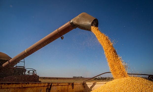 Brasil registrou aumento de 201,7% na exportação de milho em julho. (Foto: CNA Brasil)