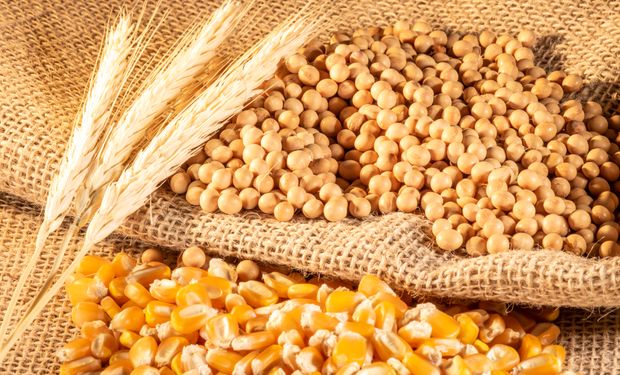 Cotações de soja e milho recuam após máximas históricas