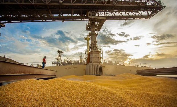 Exportações de milho estão aquecidas desde o início do ano. (foto - Portos Paraná)