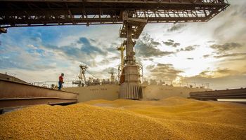 Brasil pode perder liderança em exportação de milho em 2024, diz Biond Agro