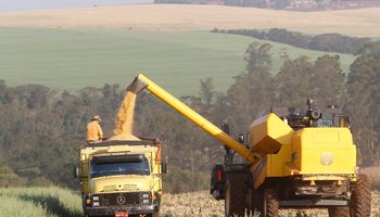 Paraná estima 19 milhões de toneladas de milho na safra 2022/2023