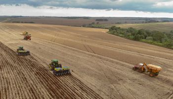 Com projeção de 14,4 milhões de tons, Paraná inicia plantio da 2ª safra de milho