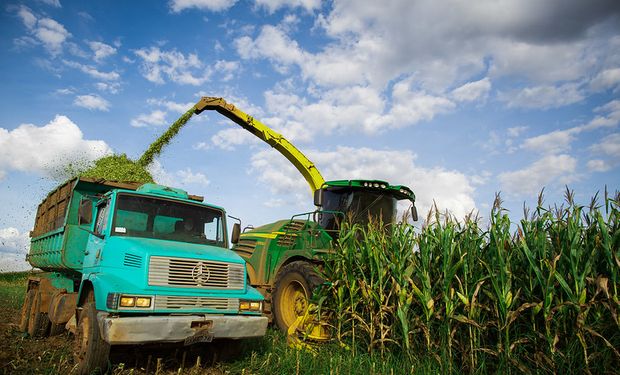 CMN muda o Proagro e prevê economia de quase R$ 3 bi até 2025 