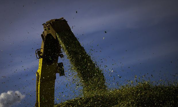 No acumulado do ano até o terceiro trimestre de 2023, o PIB da Agropecuária cresceu 18,1%.