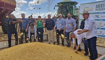 Produtor de milho deve ver a armazenagem como parte integral do negócio, diz Abramilho