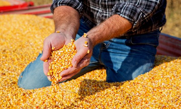 Produção de etanol de milho supera ao de cana na primeira quinzena de março