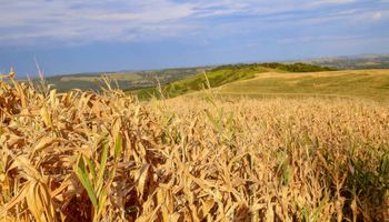 Frente fria provoca chuvas intensas no Sul e Sudeste; PR decreta emergência por estiagem
