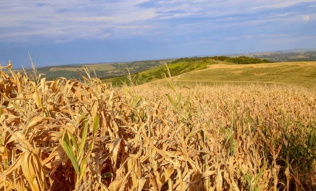 Frente fria provoca chuvas intensas no Sul e Sudeste; PR decreta emergência por estiagem