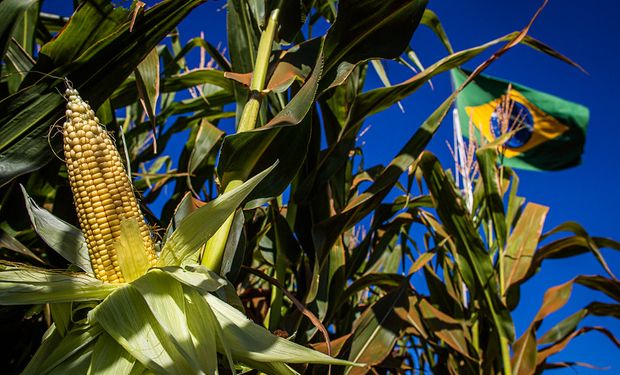 A voz de líderes conscientes para o agroconsciente