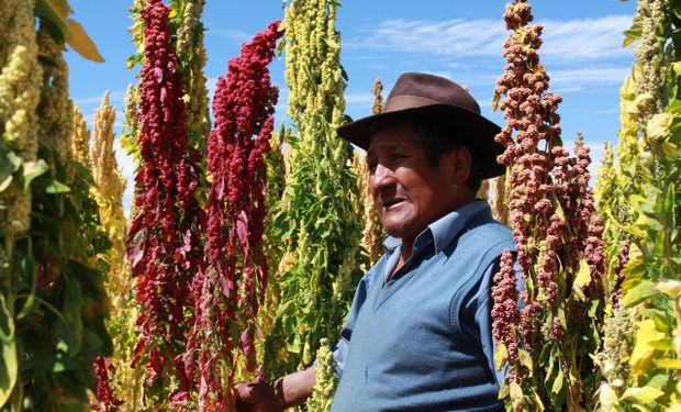 ¿Un sabio quechua que dice qué hacer con la soja, el maíz y el girasol? La propuesta que rompe el molde en el Congreso Aapresid 2025
