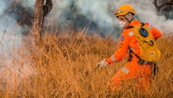 Minas Gerais vai investir R$ 442 milhões para proteger agropecuária de incêndios