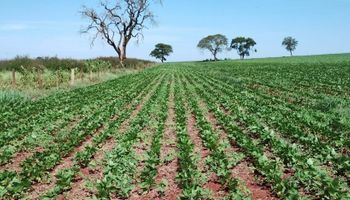 Minas Gerais amplia dispensa de licenciamento ambiental para propriedades de até mil hectares