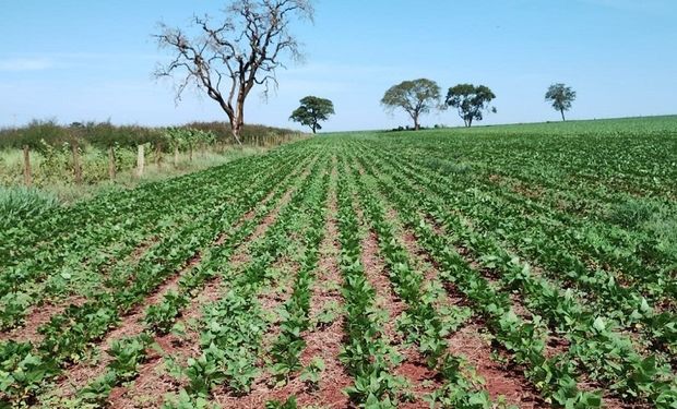 Minas Gerais amplia dispensa de licenciamento ambiental para propriedades de até mil hectares