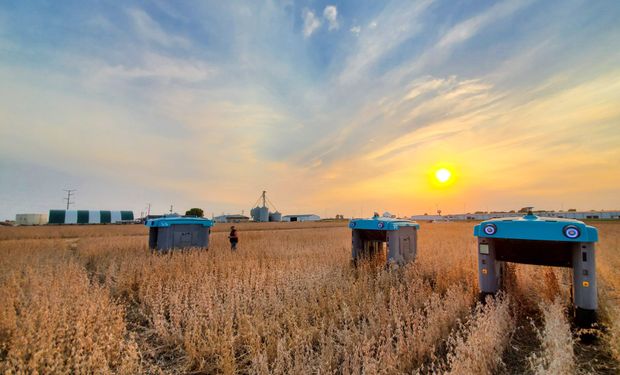 La nueva empresa de Google ya mapeó el 10% de la agricultura global: quieren que todos lo puedan hacer desde el celular