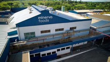 Minerva Foods alcança R$ 58 bilhões em receita e eleva lucro em 2025