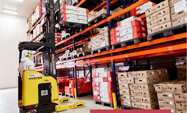 Minerva lucra R$ 120 milhões no terceiro trimestre; exportação é destaque