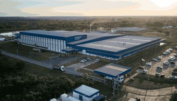 Minerva Foods reverte prejuízo e lucra R$ 185 milhões no 1º trimestre de 2025