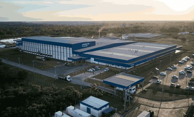 Minerva Foods reverte prejuízo e lucra R$ 185 milhões no 1º trimestre de 2025