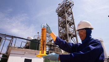 Hito: el frigorífico argentino que podrá exportar sebo bovino para biocombustibles