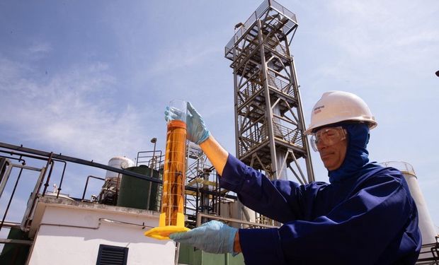 El sebo bovino gana valor: una certificación habilita exportarlo como biocombustible