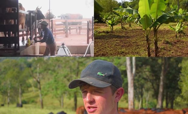 Misiones, a fondo: una provincia increíble y las Manos con Historia que muestran cómo es la producción en la zona