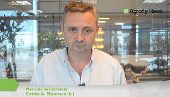 La calidad sigue marcando la diferencia