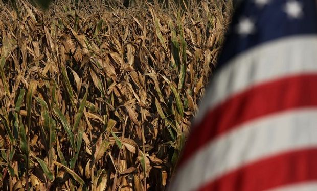 Estimaciones previas al informe del USDA.