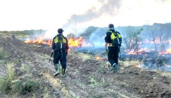 “El fuego está sacando a muchos productores del sistema”