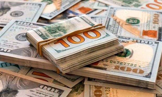 Dólar blue hoy: cuál es la cotización del 24 de enero y cómo queda la brecha contra el dólar Banco Nación