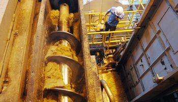 Fim da safra: moagem chega a 543,89 mi de toneladas no Centro-Sul, diz Unica