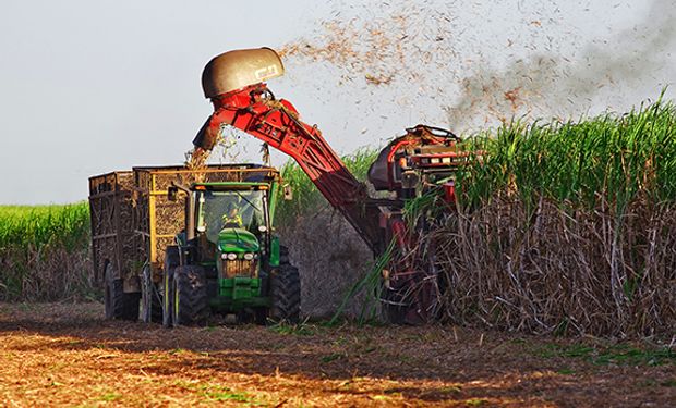 Mistura de etanol na gasolina em 35% pode impulsionar moagem de cana em 42 milhões de toneladas