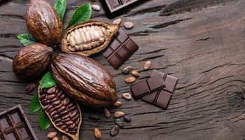 Moagens em queda e ajustes de posição sinalizam cautela no mercado de cacau