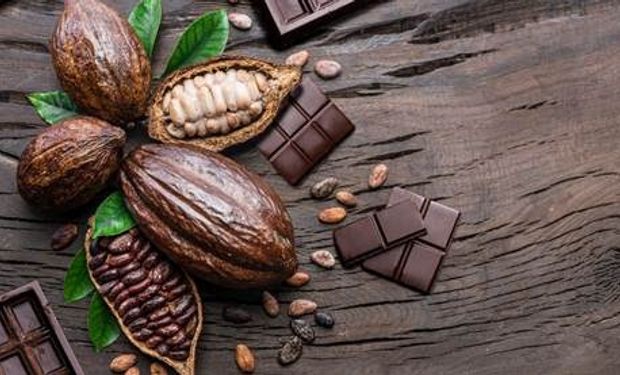 Moagens em queda e ajustes de posição sinalizam cautela no mercado de cacau