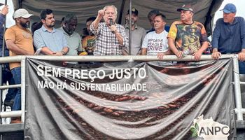 Preço do cacau cai até 75% e Pará e Bahia pedem restrição às importações