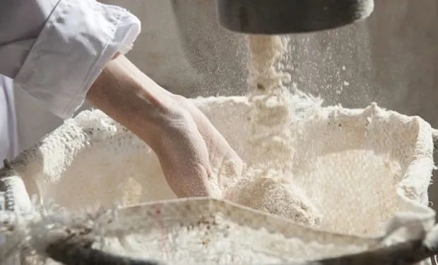 Fideicomiso de trigo: fijan el precio de referencia de la harina