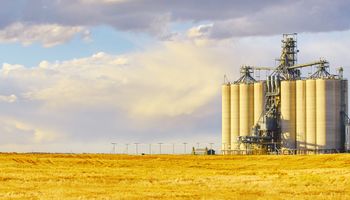 Inesperado: por qué pese a la cosecha récord de trigo los molinos no pueden abastecerse