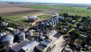 El caso de un molino de trigo que derivó en un pedido a Nación: "No podemos permitir que normas obsoletas castiguen a quienes invierten y generan empleo"